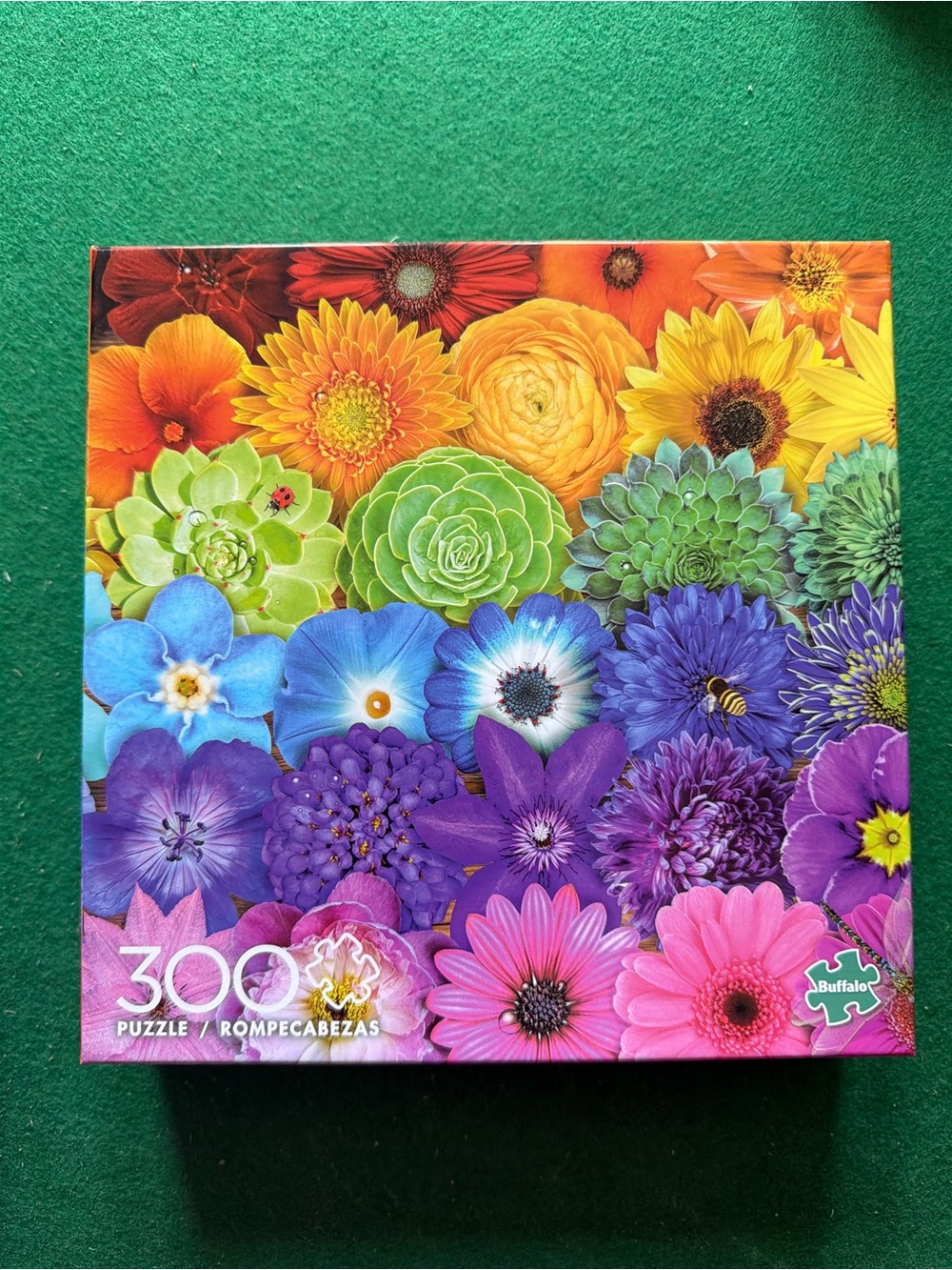 Buffalo  Multicolor Puzzle Box with Blue, Red, Yellow, Green Pieces
